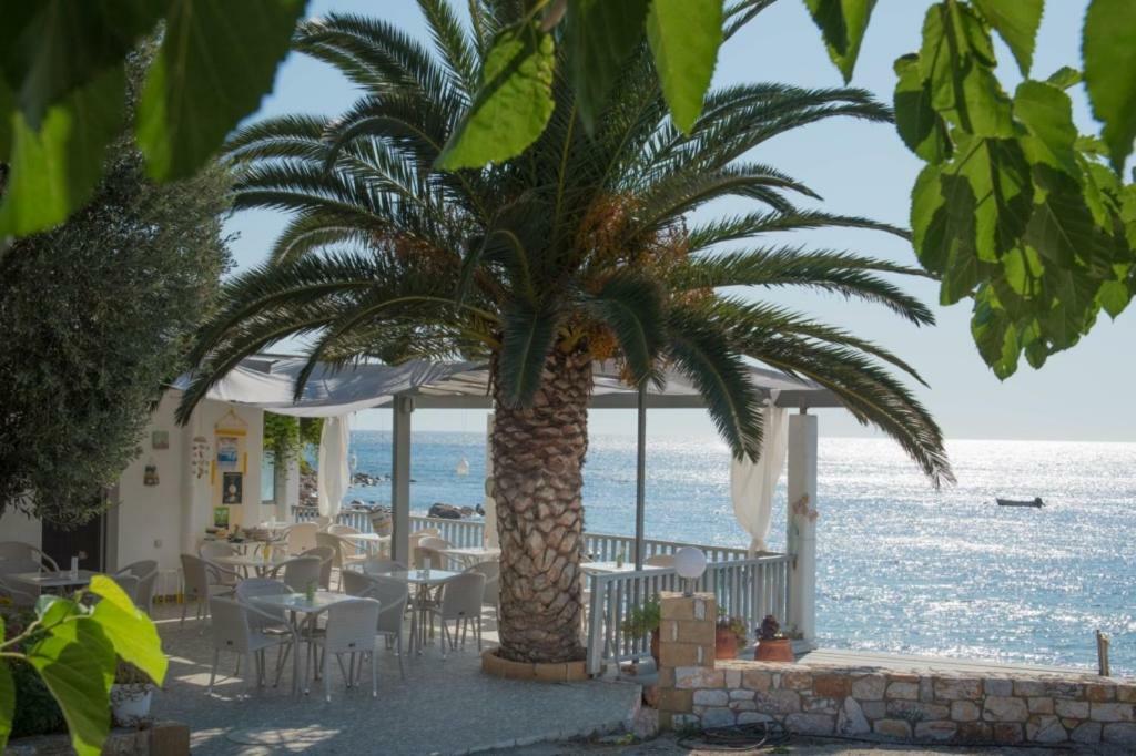 Τo Κamari Apartment Skyros Exterior photo